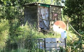 Tipi Lodge Dans La Foret