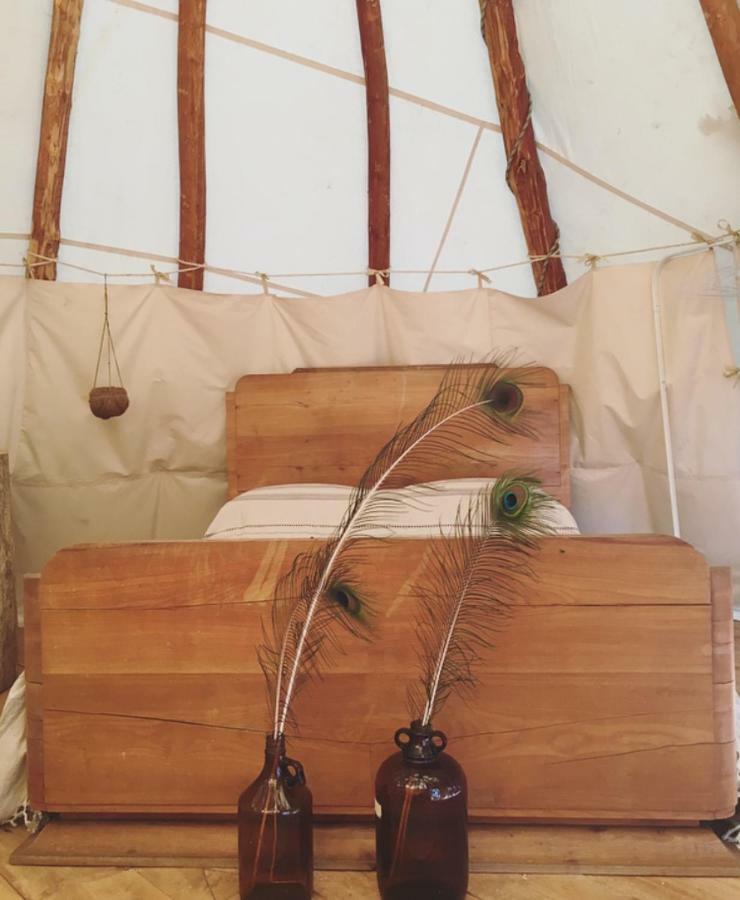 Tipi Lodge Dans La Foret Mimizan-Plage Buitenkant foto