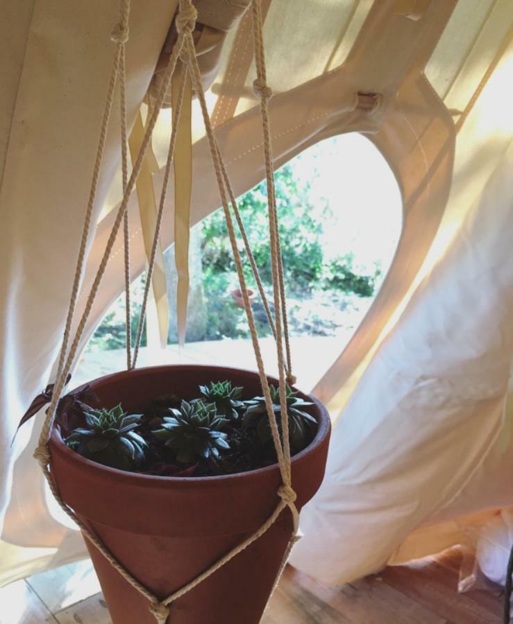 Tipi Lodge Dans La Foret Mimizan-Plage Buitenkant foto