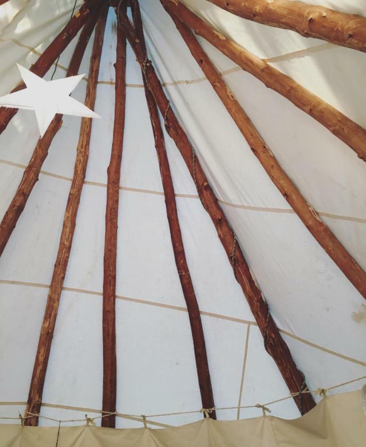 Tipi Lodge Dans La Foret Mimizan-Plage Buitenkant foto