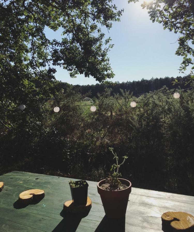 Tipi Lodge Dans La Foret Mimizan-Plage Buitenkant foto